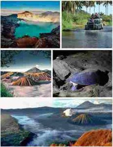Bromo Ijen Sukamade Tour Package 4 Days 3 Nights