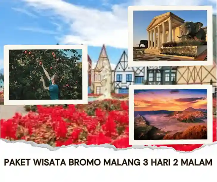Paket Wisata Bromo Malang 3 Hari 2 Malam